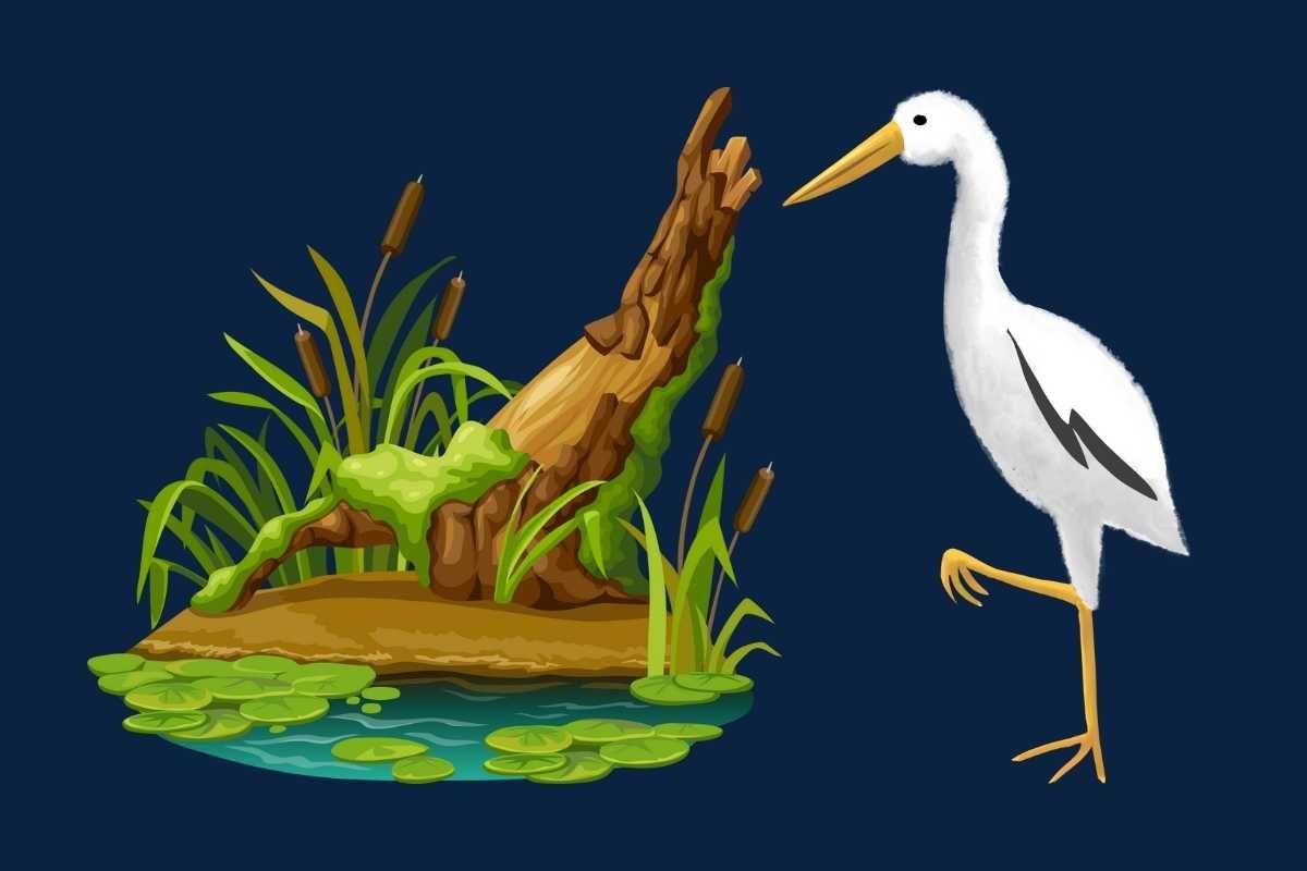 List of Ramsar sites in India and their importance