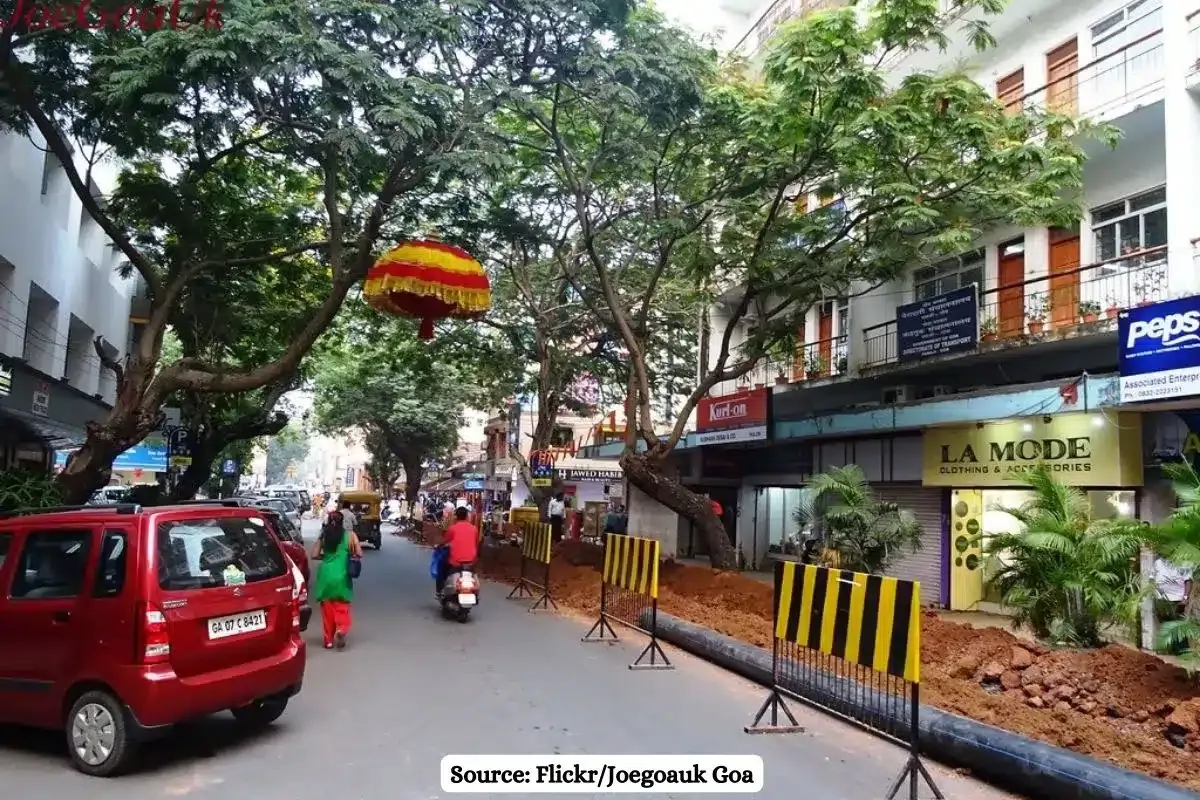 SC rejects EIA exemption for roads, pipelines,  citing environmental concerns