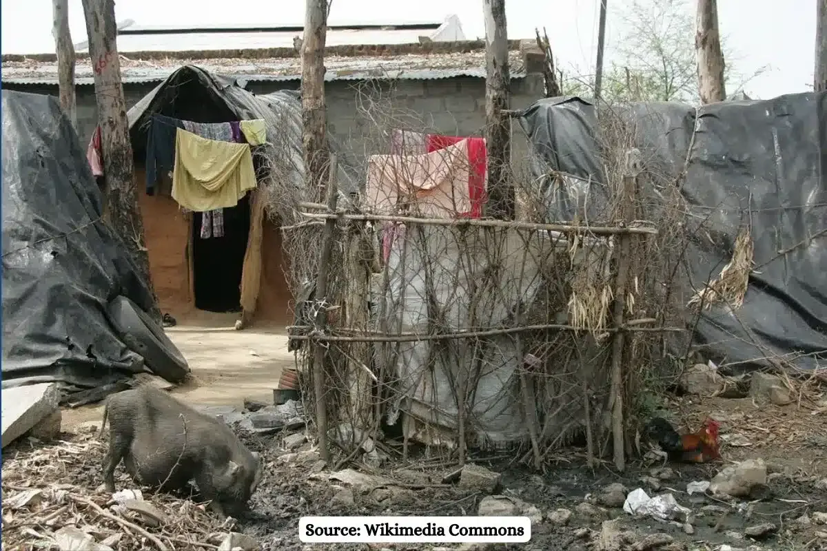 India's Human Development Index: Ranked 134th, life expectancy declines