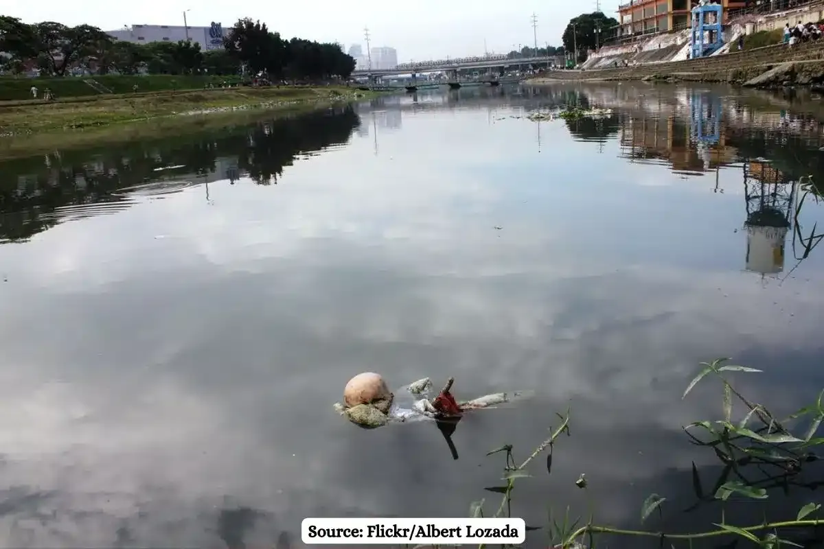 World Water Day 2024: Positive urban water stories from India