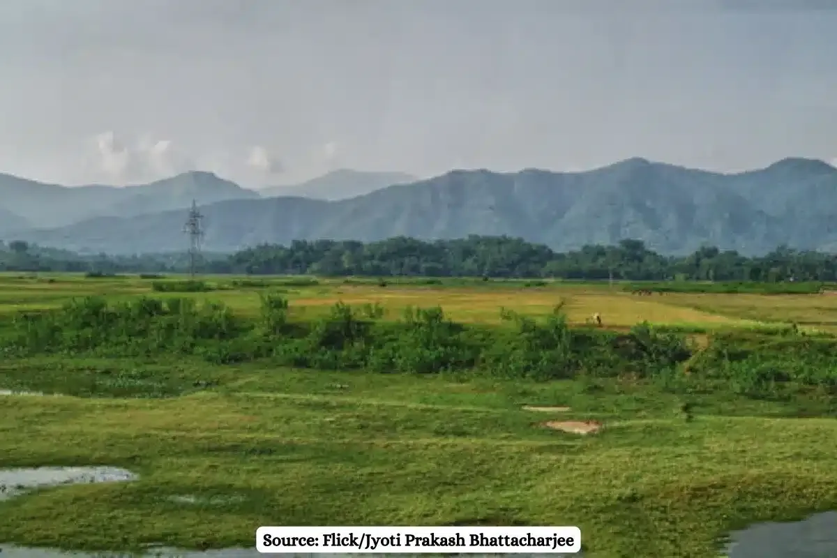 NGT warns Assam govt over unauthorized construction on forest land in Barak Valley