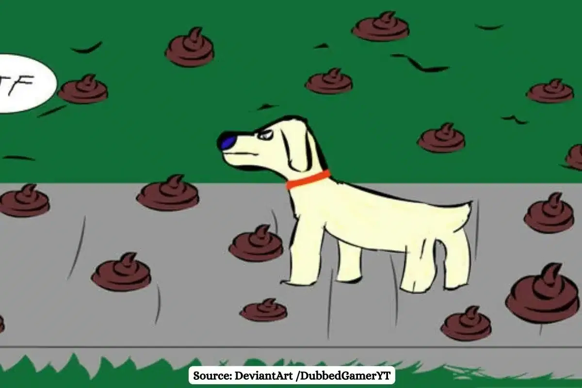 Impact of dog poop: Ecosystems, waterways, and public health