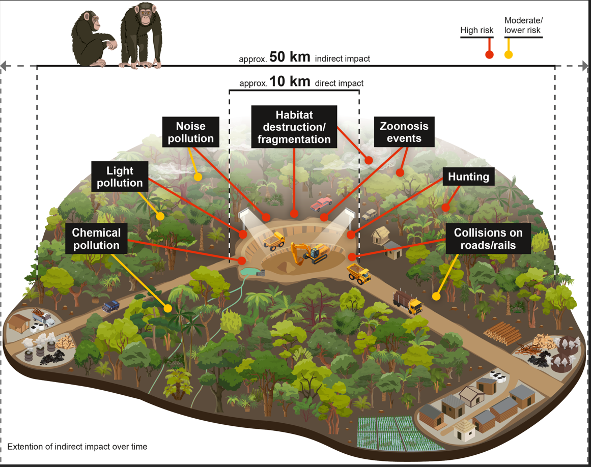 mining impacts