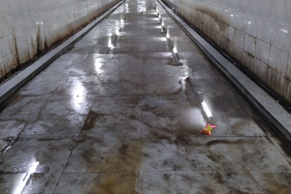 BMC's Coastal Road Project Faces Criticism Over Structural Concerns