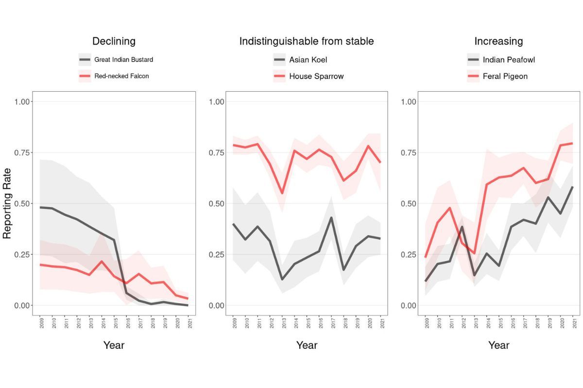 A graph showing annual trends of selected species in grasslands. Large-bodied, specialist birds like the great Indian bustard have shown &ldquo;strong, consistent declines