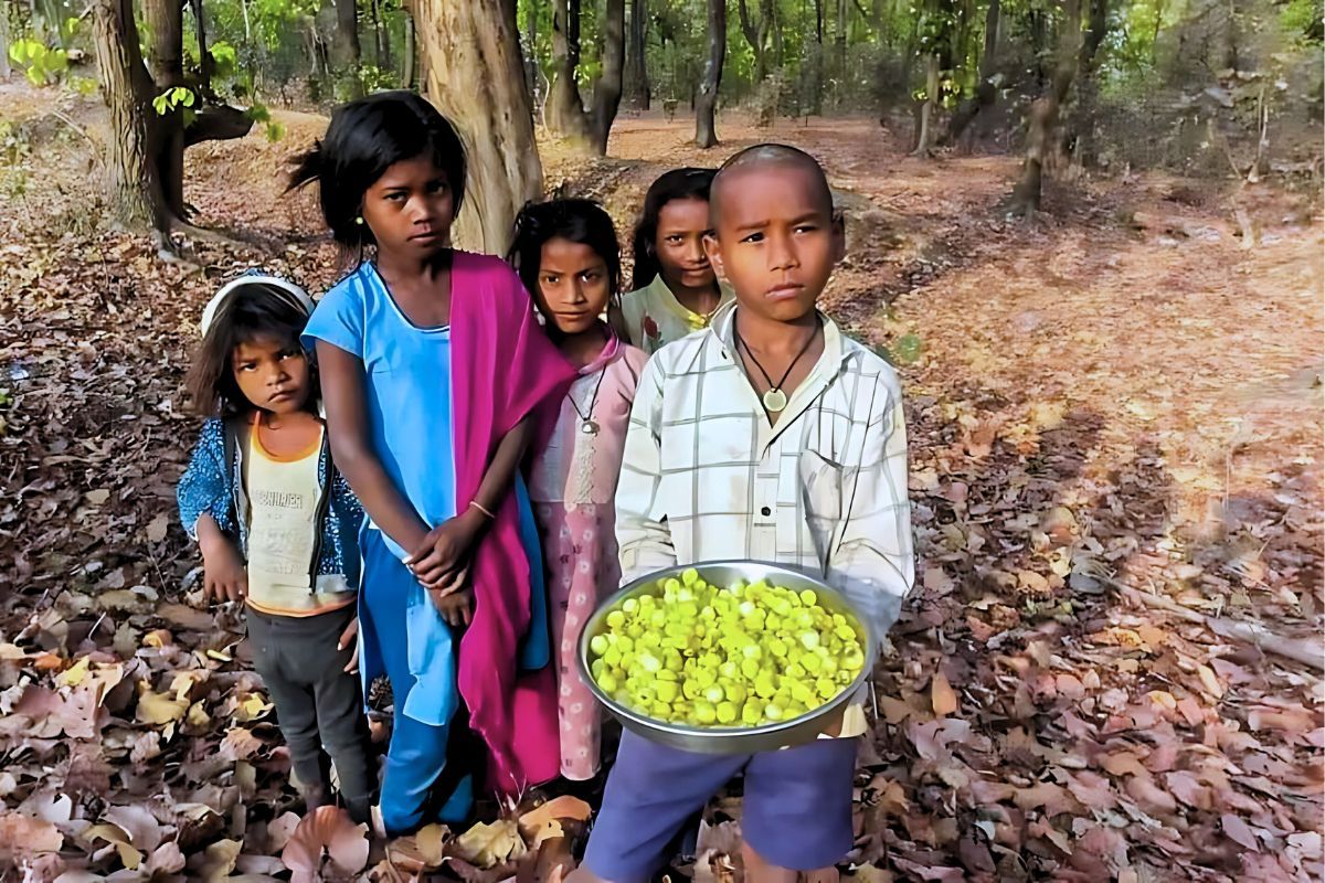 बदलती जलवायुः वनोपज पर असर, आदिवासियों की आजीविका पर गहराया संकट