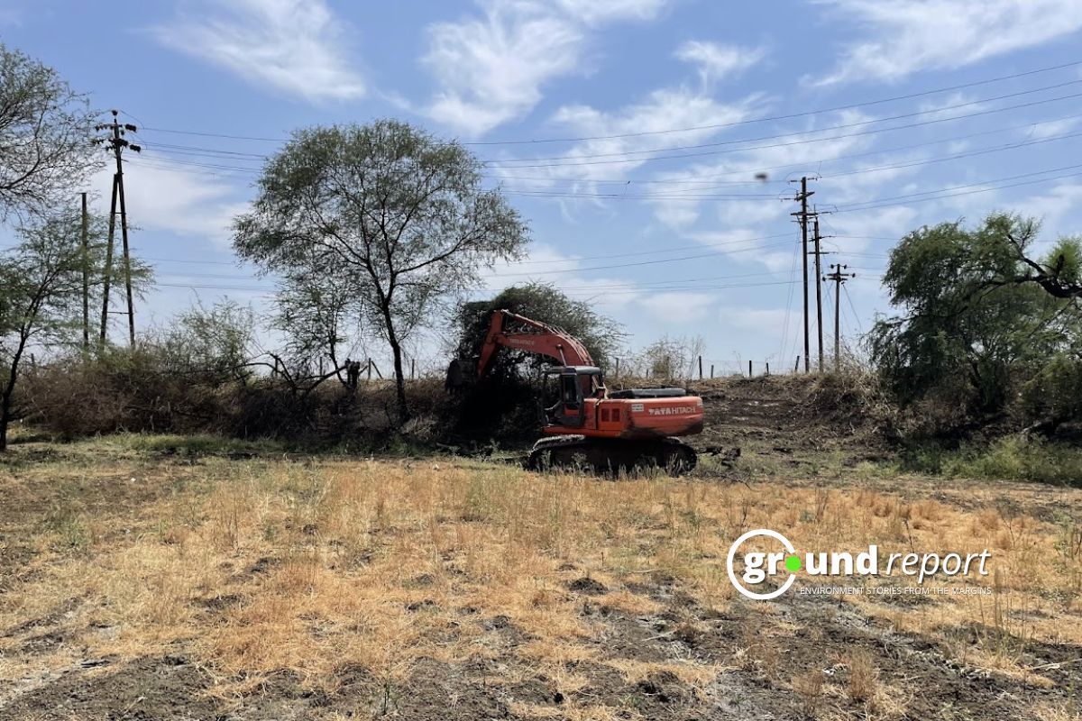 Mayakheidi Lake Indore Revival
