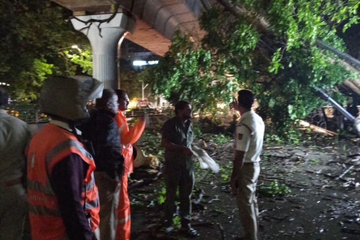 Bengaluru hit by record rains in 2 days, highest in 133 years