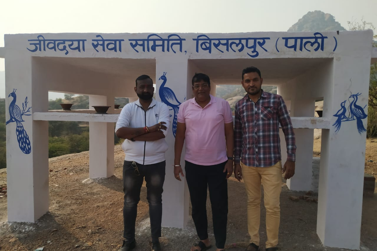 बेसहारा पशुओं को भीषण गर्मी से कैसे बचा रहा है राजस्थान का बीसलपुर गांव?
