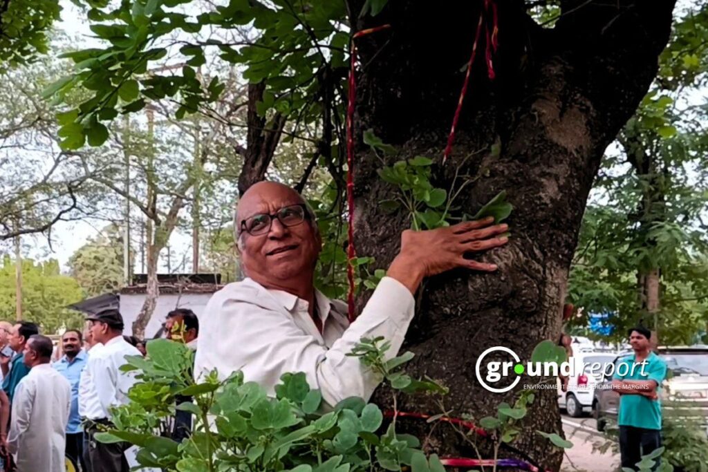 Bhopal Tree Cutting: Protests began to protect 29,000 trees from felling