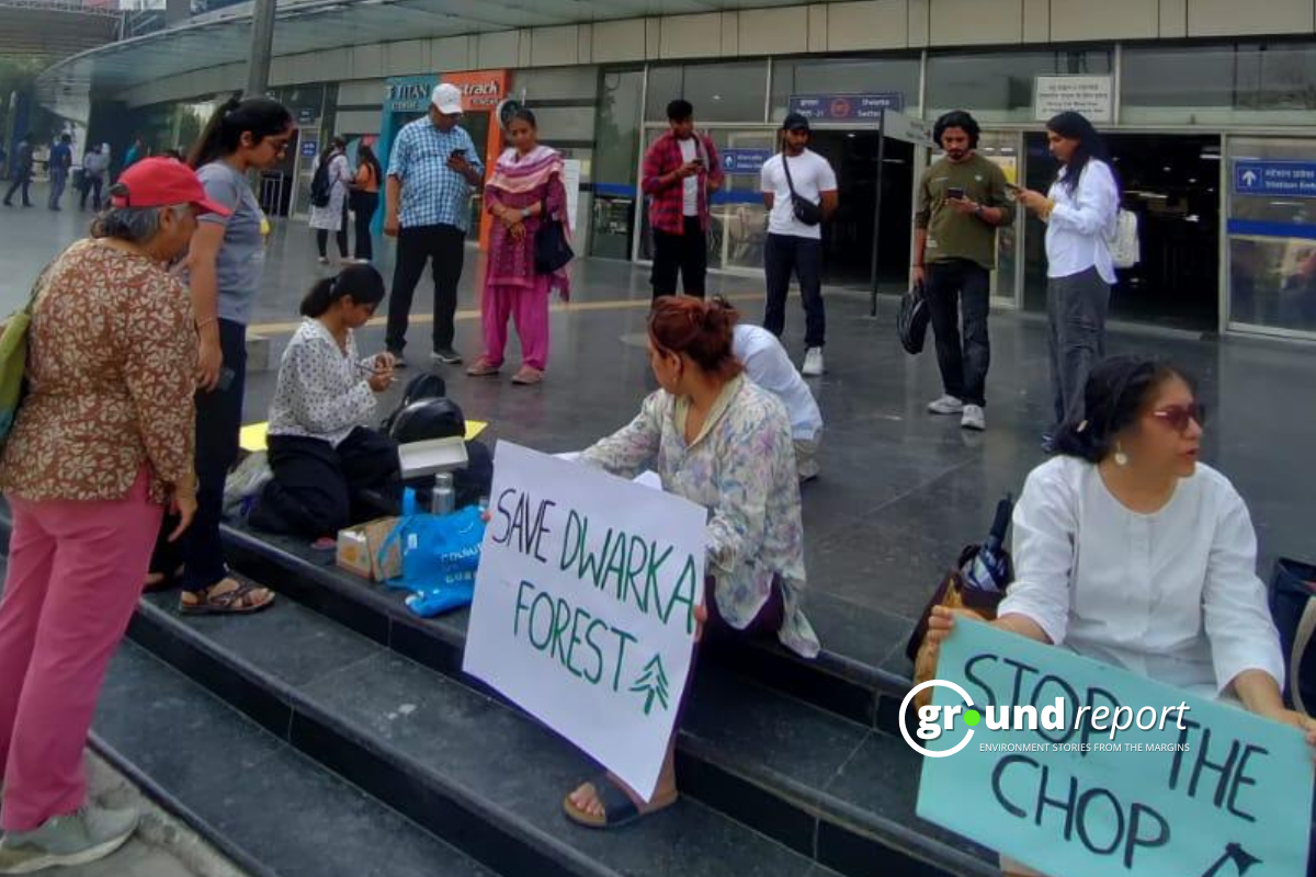Amidst protests, Dwarka forest continues to face mass deforestation and construction
