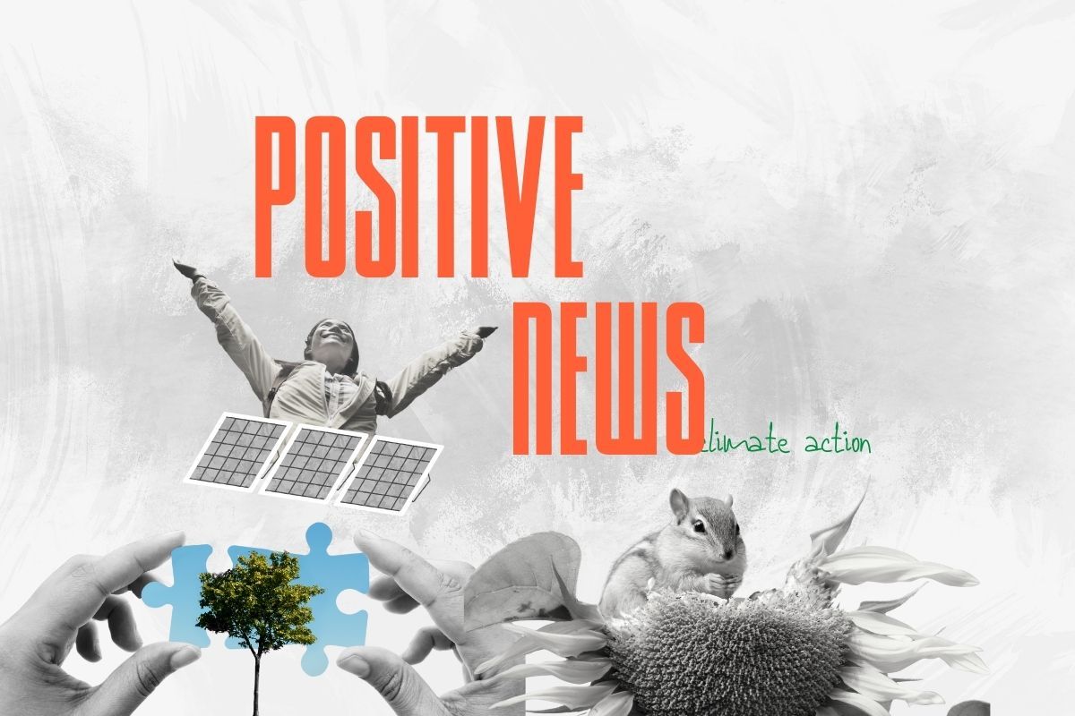 July's Green Wins: A Roundup of Positive Environmental News Stories