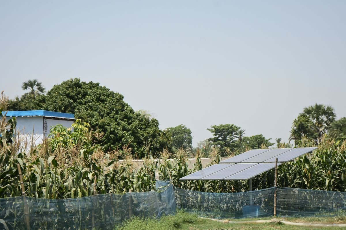 Solar powered water pump set up of Anu Devi in Muzaffarpur, Bihar. Photo by Ashutosh Kumar