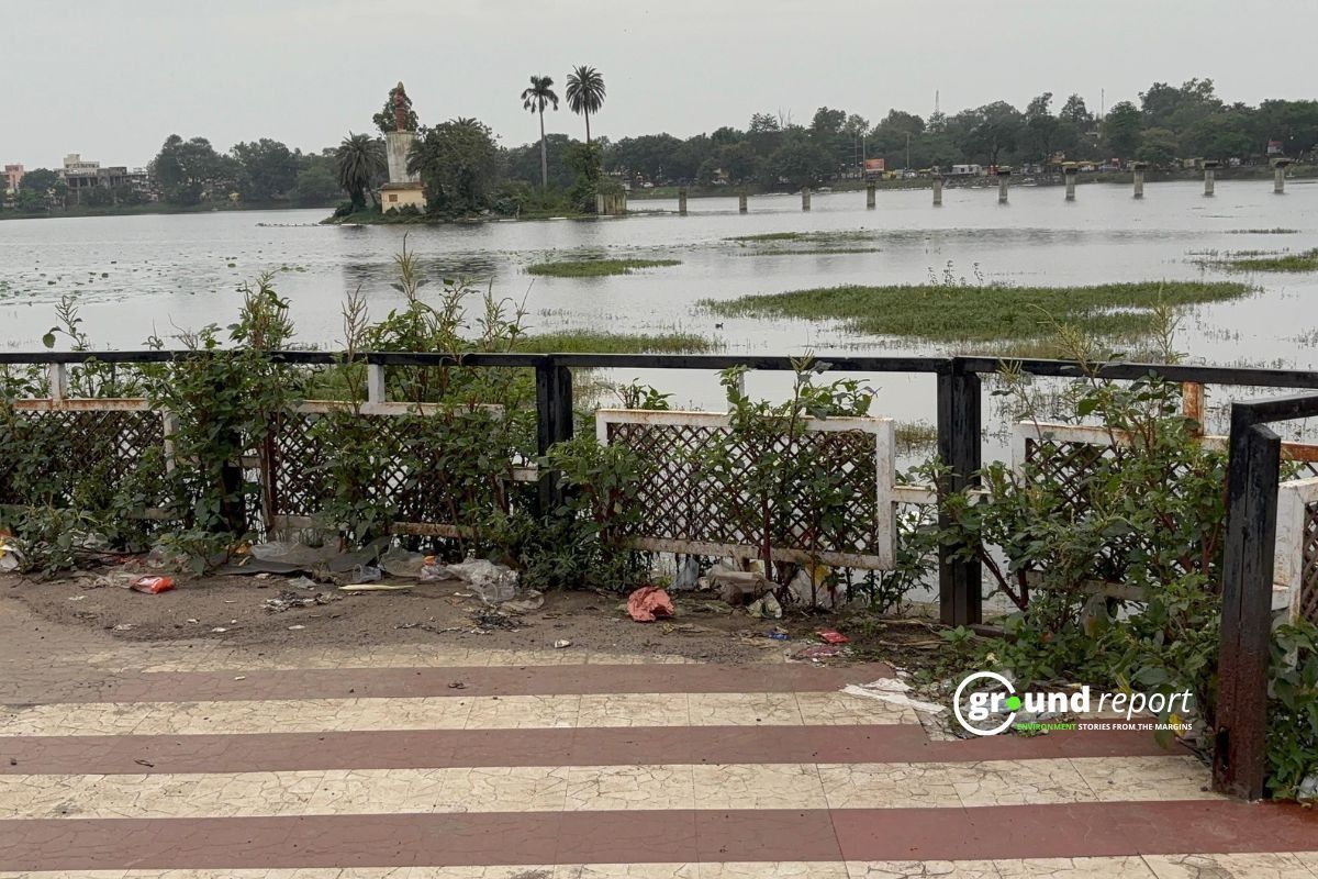 waste in wetland seoni