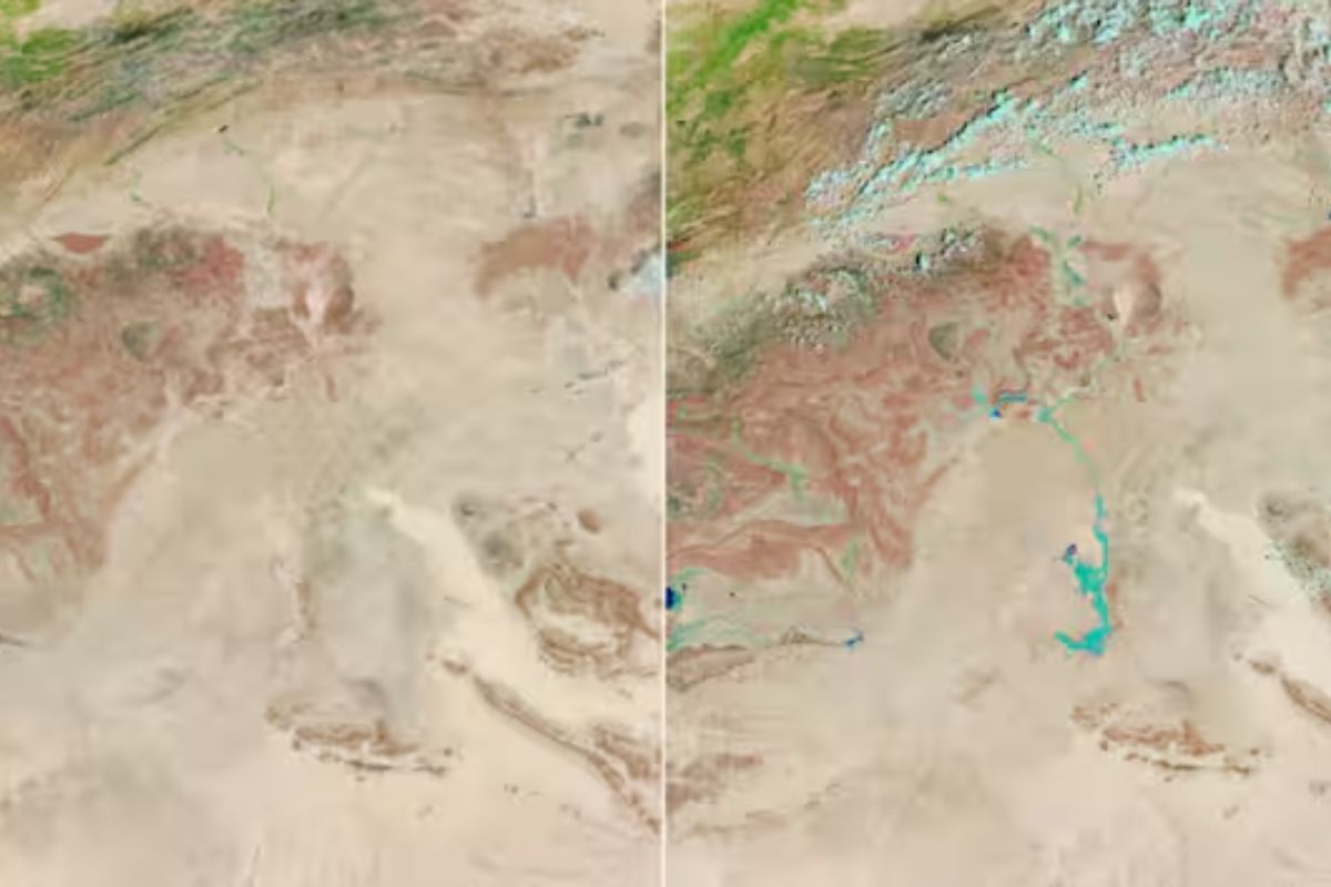 Why Sahara desert turning green from arid yellow?