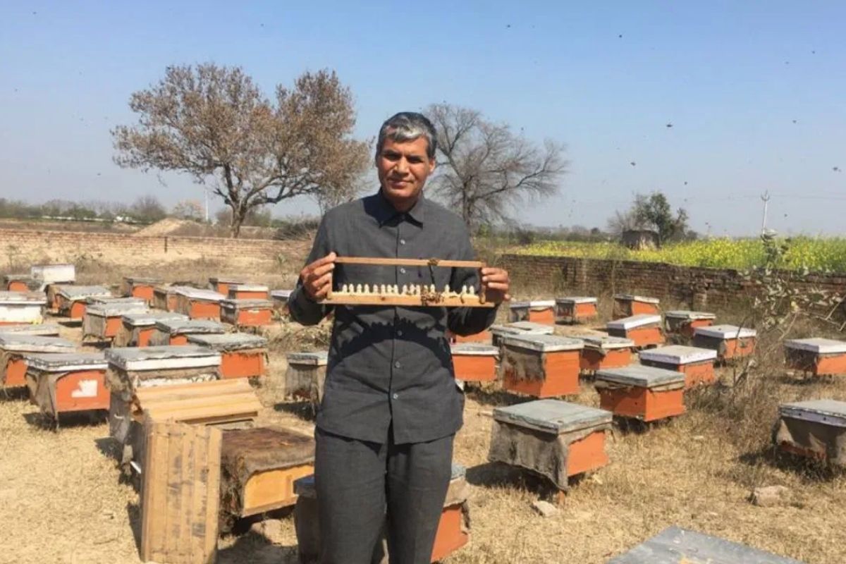 Who is Jagpal Singh Phogat revitalising environmental conservation across India?