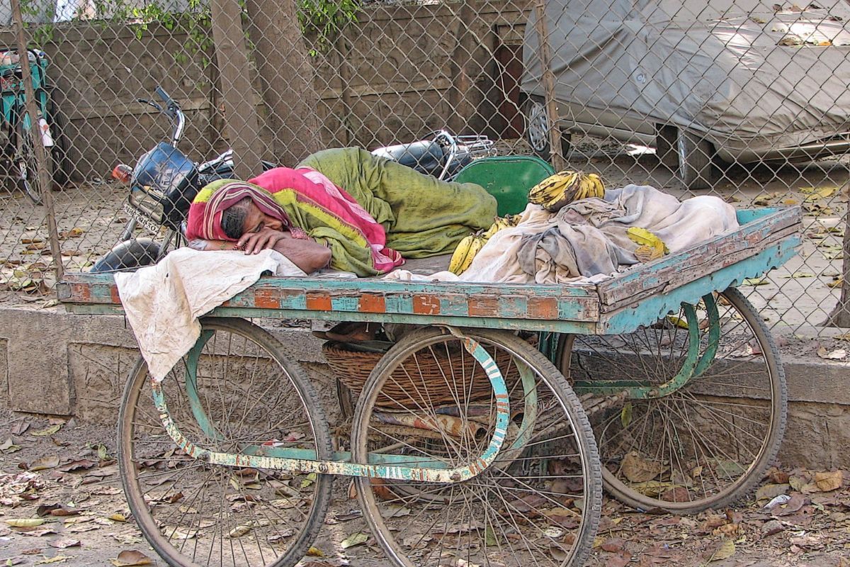 733 cases of heatwave death reported in India, Govt claims only 360