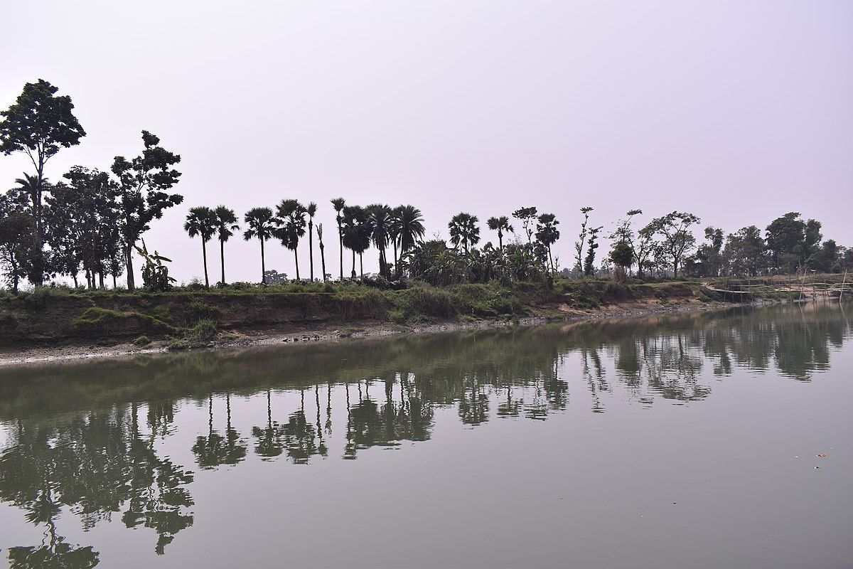NGT orders probe into Damodar river pollution by illegal mining