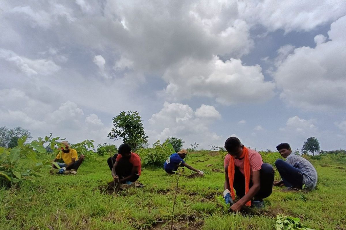 पेंच में ‘Trees For Tigers Project’ शुरु, मानव वन्यजीव संघर्ष होगा कम?