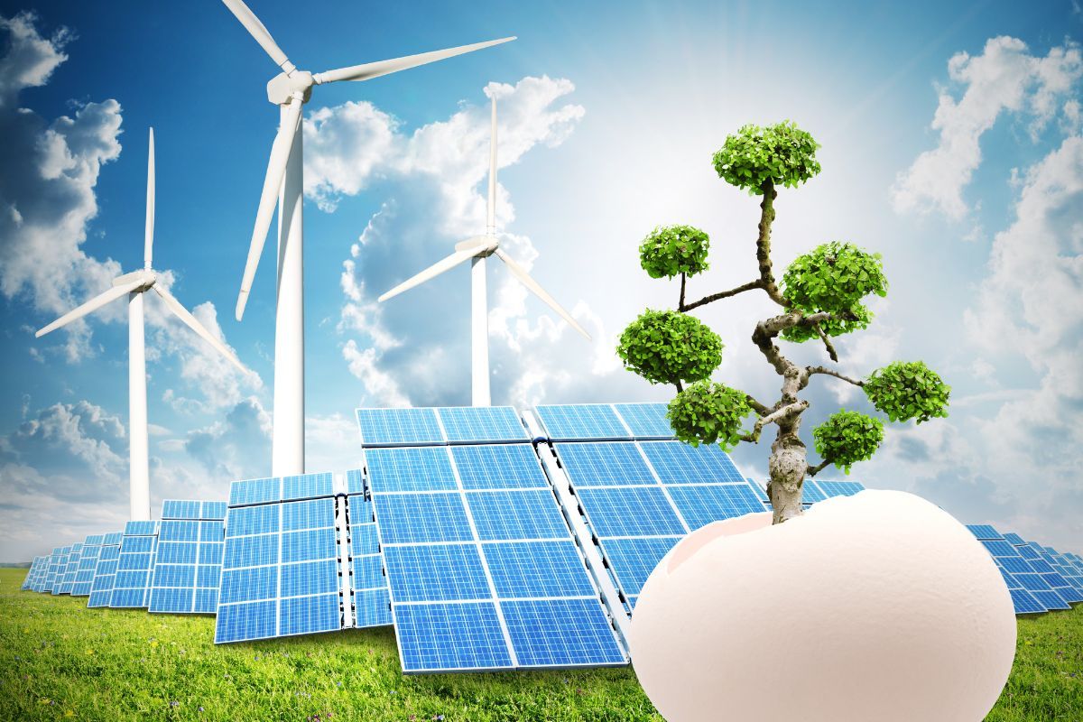 QNET's Commitment to Transparency and Sustainability