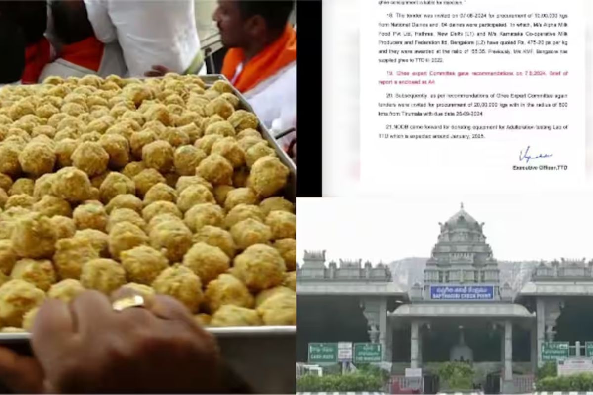 Lab report of Tirupati Laddu going viral is of rejected ghee