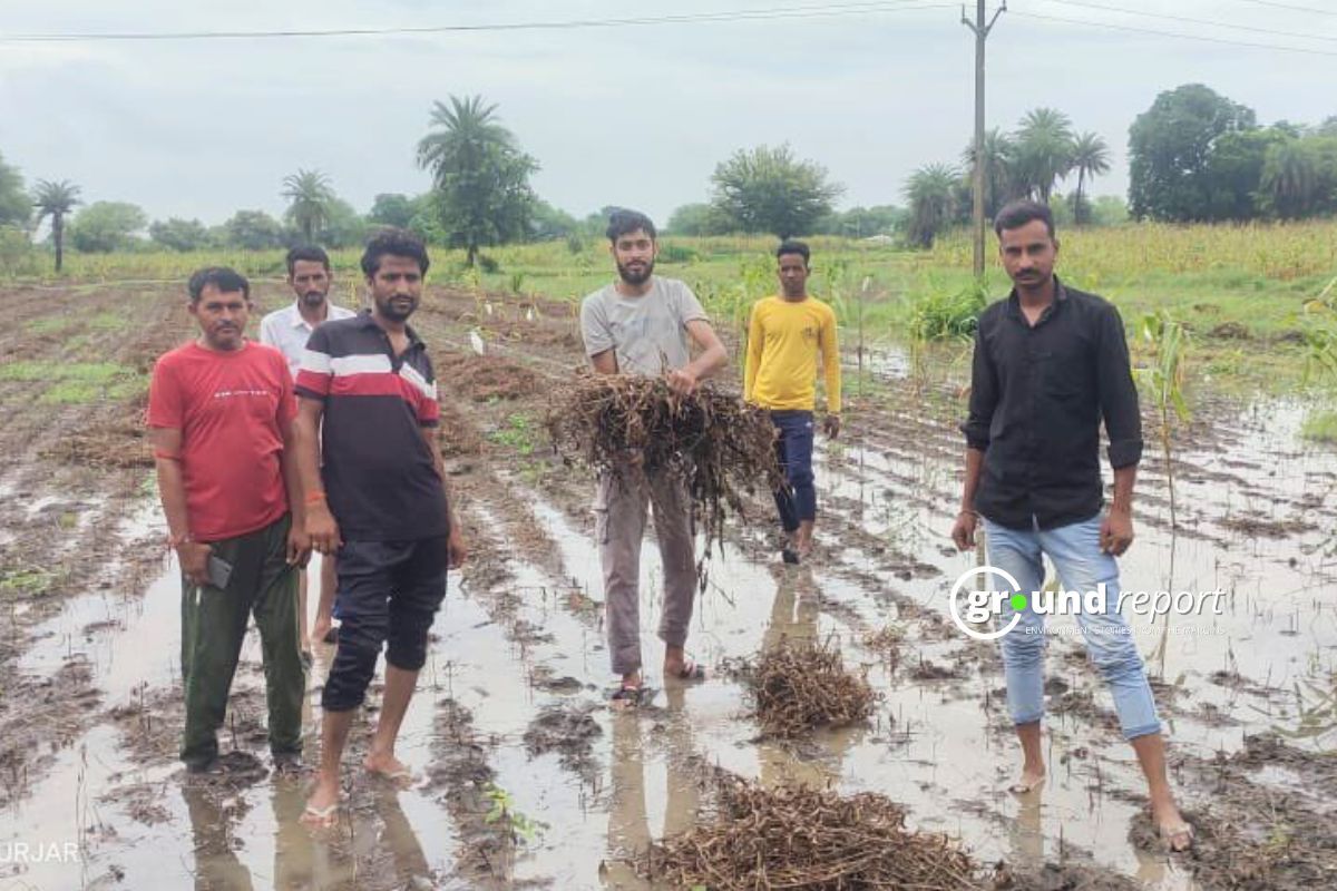 नुकसान के बाद भी मुआवजे की लिस्ट से बाहर राजगढ़ के किसान