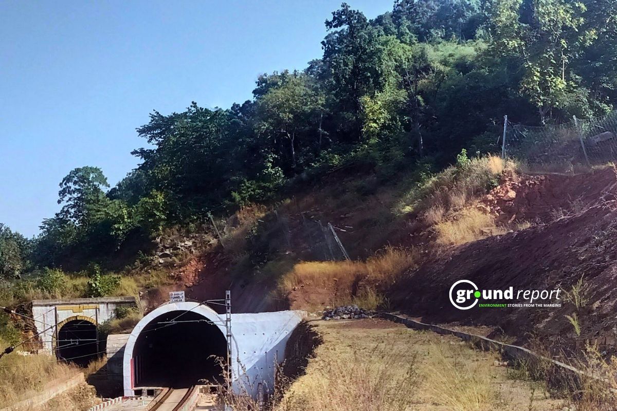 Budhni Midghat Railway Station Where Tigers died