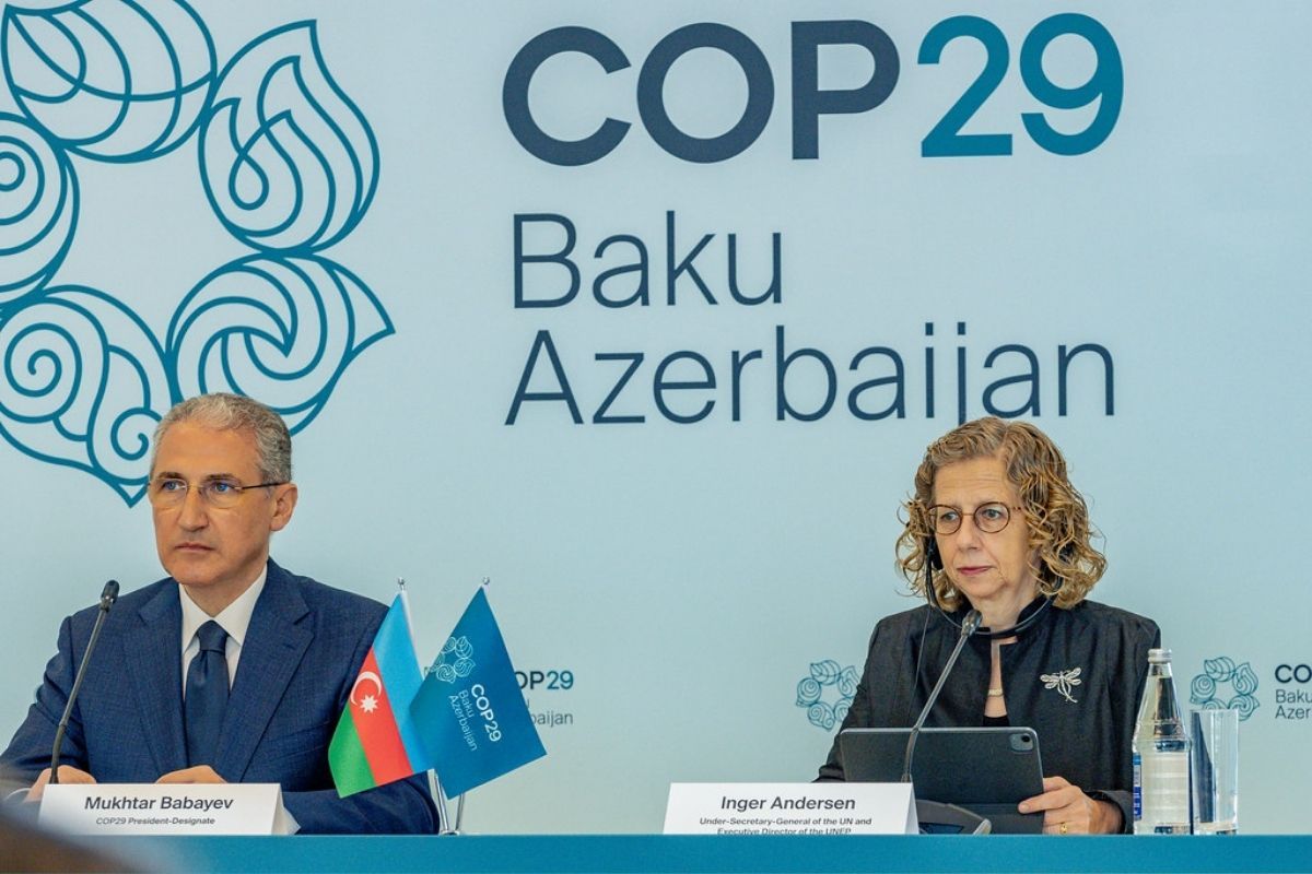 Fragile climate deal reached at COP29 amid global tensions