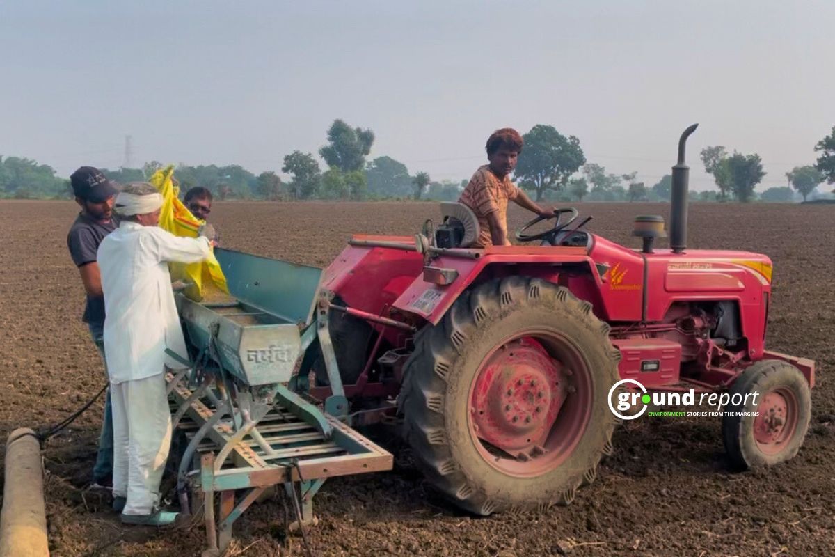 Madhya Pradesh Farmer sowing wheat in their farm