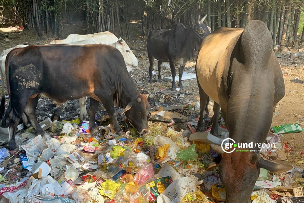 Swachch Srvekshan Sehore