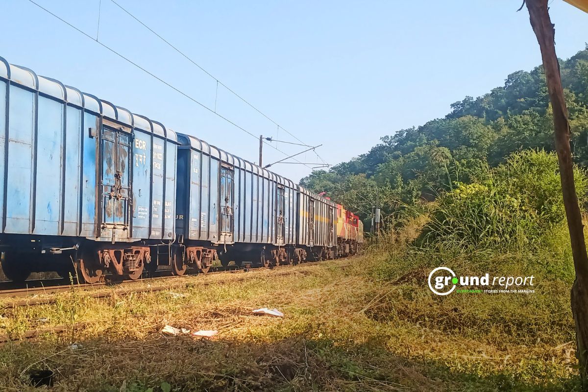 Goods Train passing through wildlife protected zone in Madhya Pradesh
