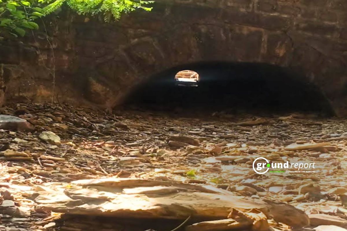 Midghat Railway Station Wildlife underpass and overpass