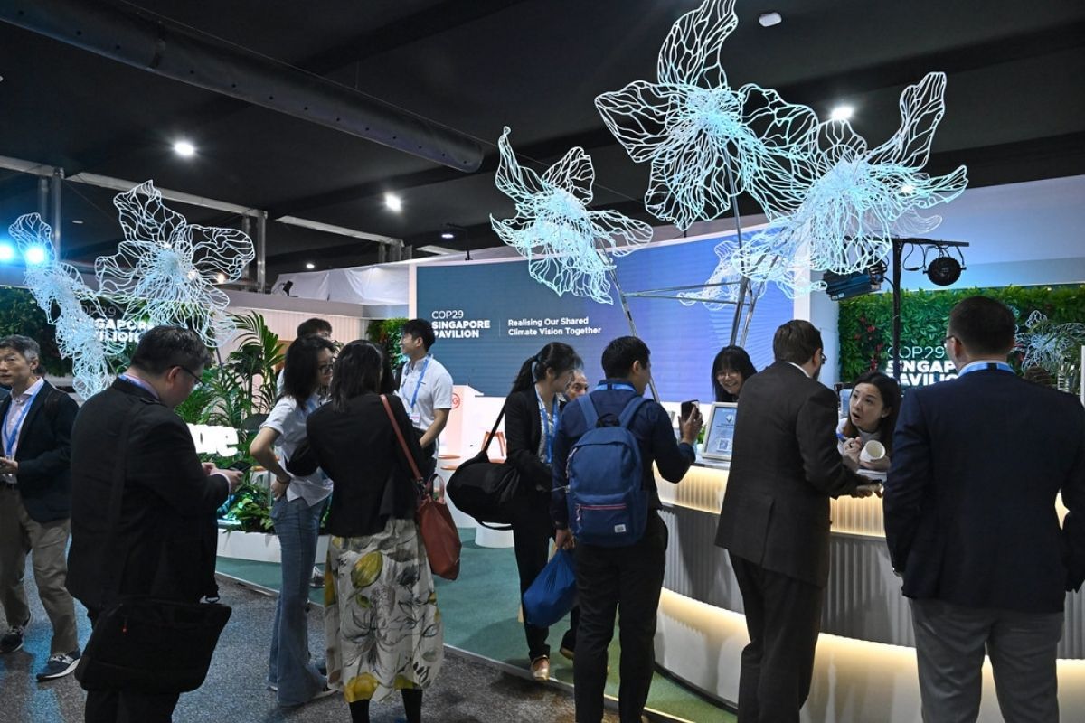 Day3: Financial talks at COP29 reveal challenges, new emission pledges