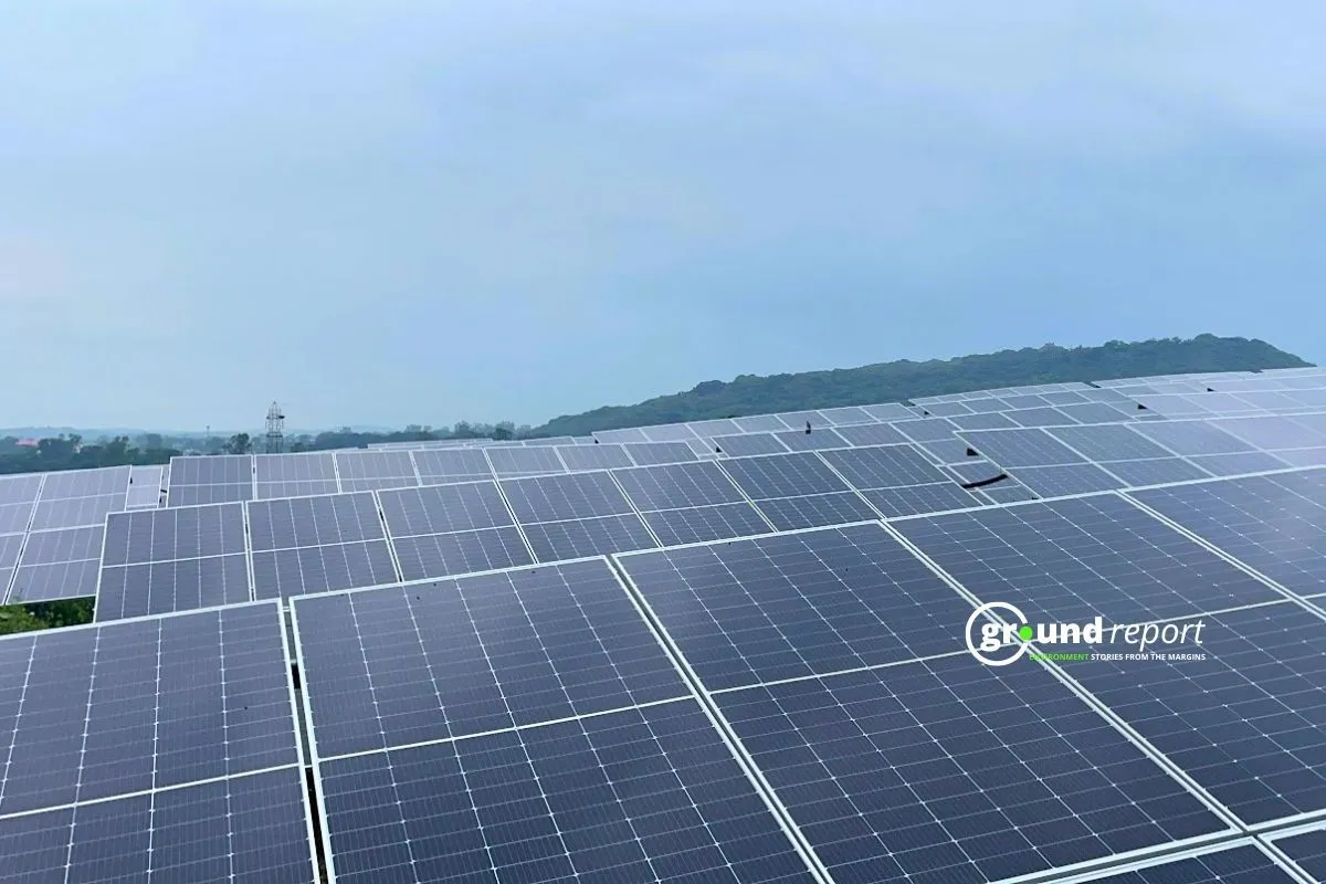 Why U.S. Is Suddenly Falling in Love With Solar Power Trump Once Called a Scam