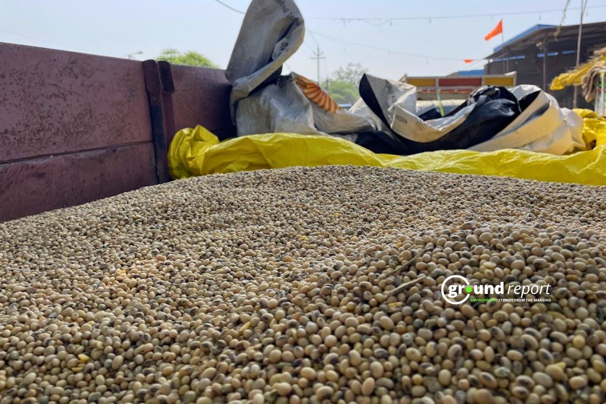 मध्य प्रदेश सरकार ने सोयाबीन की खरीदी में एफएक्यू की शर्त खत्म की