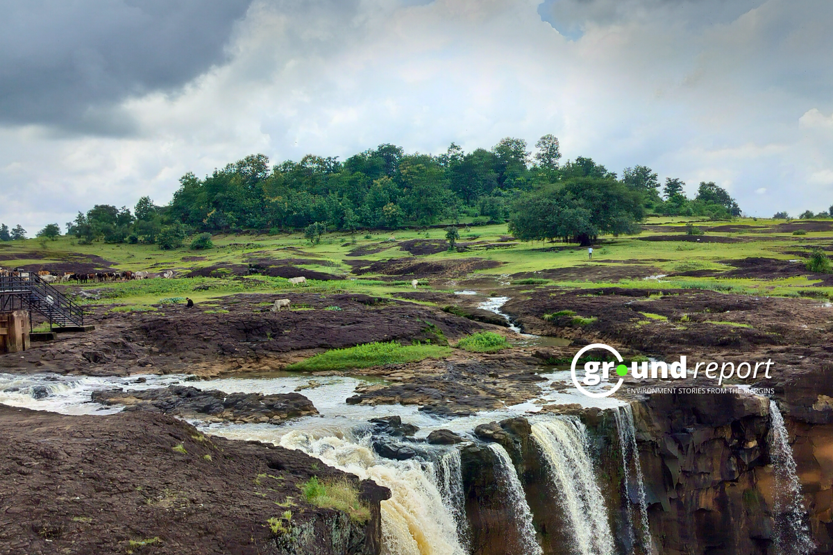 First rain of winter season hits MP, fog and cold weather continue