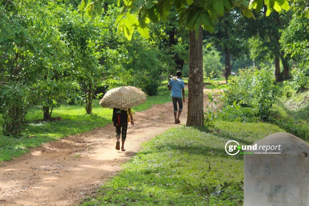 What is the Aravalli forest Safari project?