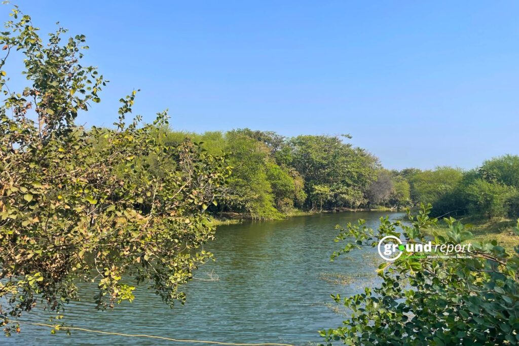 Kulas River Bhoj Wetland
