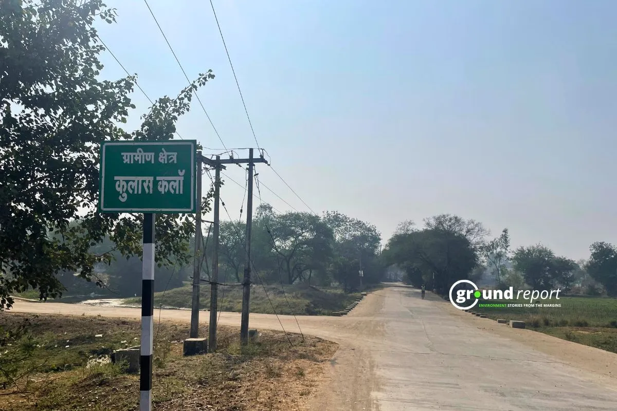 Bhopal's Western Bypass: A road through environmental concerns