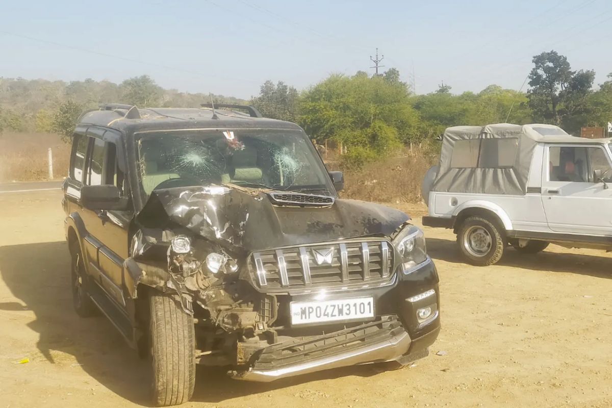 चंदनपुरा: बाघों से बचने के चक्कर में दुर्घटनाग्रस्त हुई स्कार्पियो