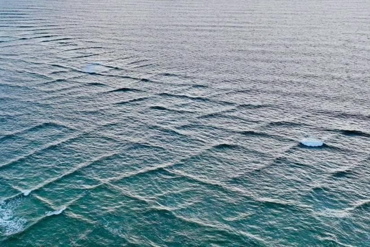 Square waves appear in Turkey’s Aegean sea, but they are dangerous