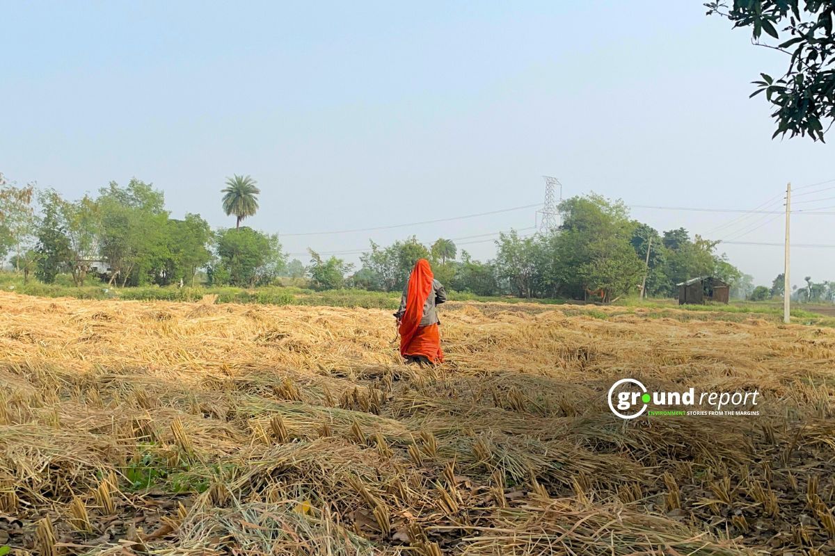 Woman farm laborers in India