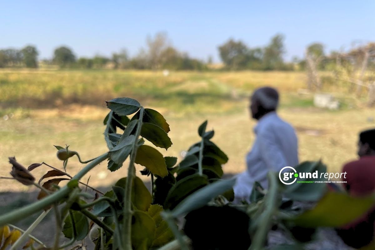 Soil Health Card: Ambitious scheme faces ground-level challenges