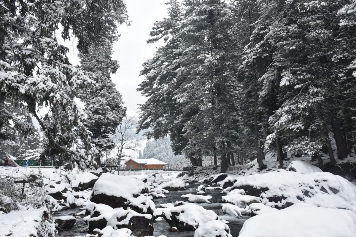 Himachal to see clear weather for 3 days, rain & snow likely after