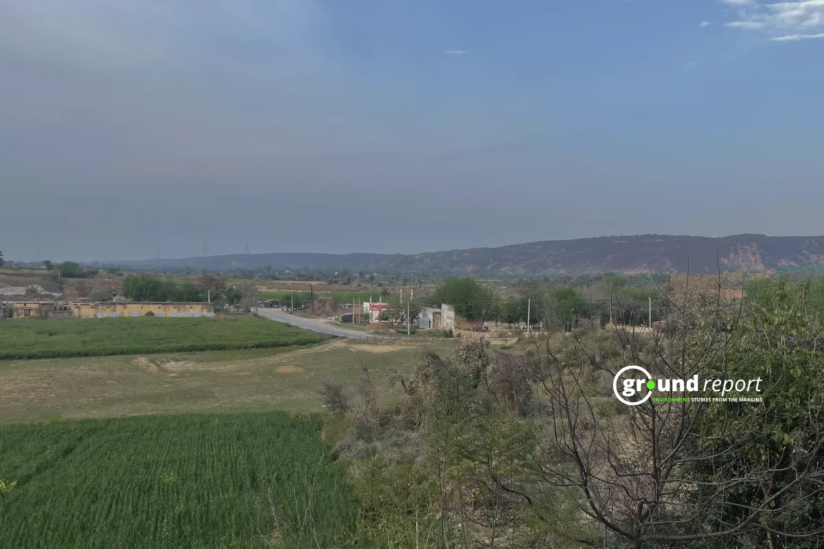 Cold Winds to Return to Madhya Pradesh After Brief Warm Spell