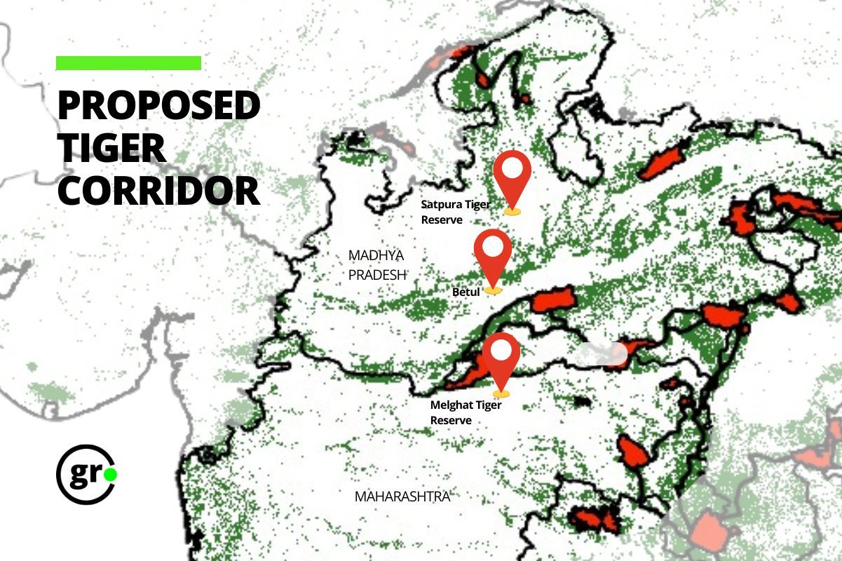 Proposed conservation reserve in Betul, Madhya Pradesh