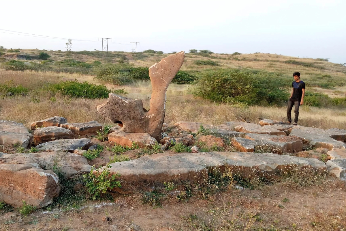 Dinosaur Fossil National Park Bagh