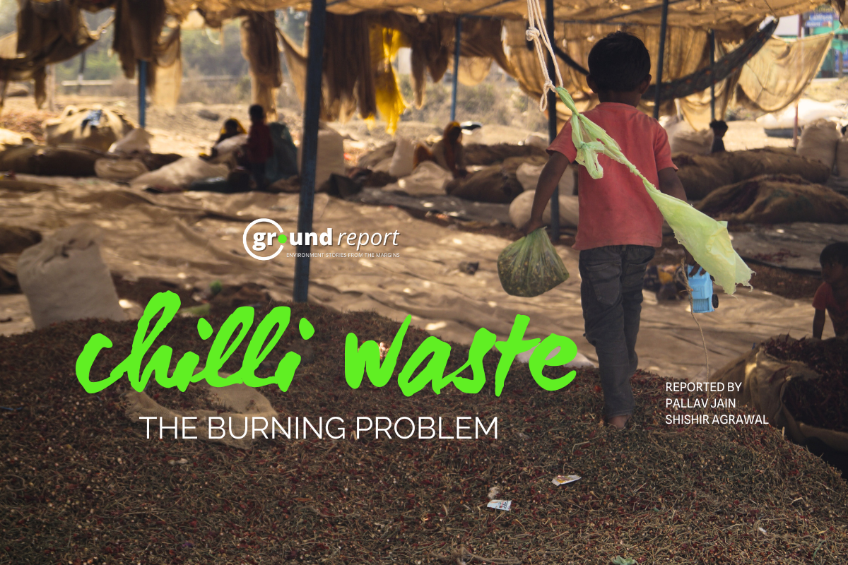The burning problem of chilli waste