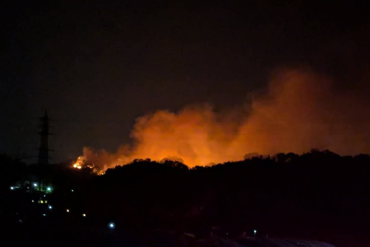 Deadly wildfires ravage South Korea, killing at least 24