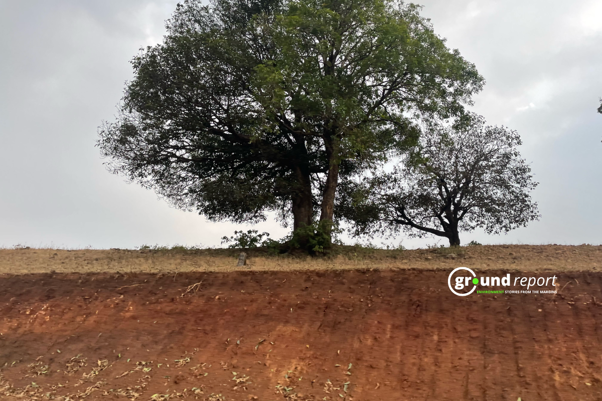 Madhya Pradesh  gully erosion 12